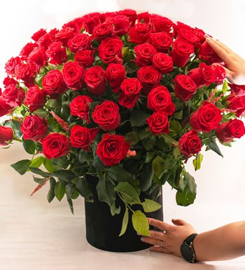 Siyah Silindir Kutuda Kırmızı Gül Serisi