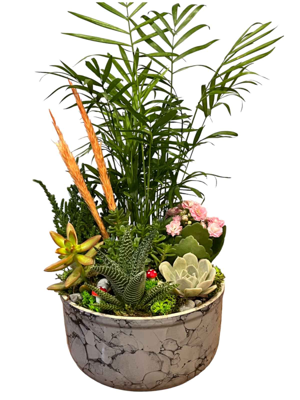 ÇiçekçiMİS Teraryumu