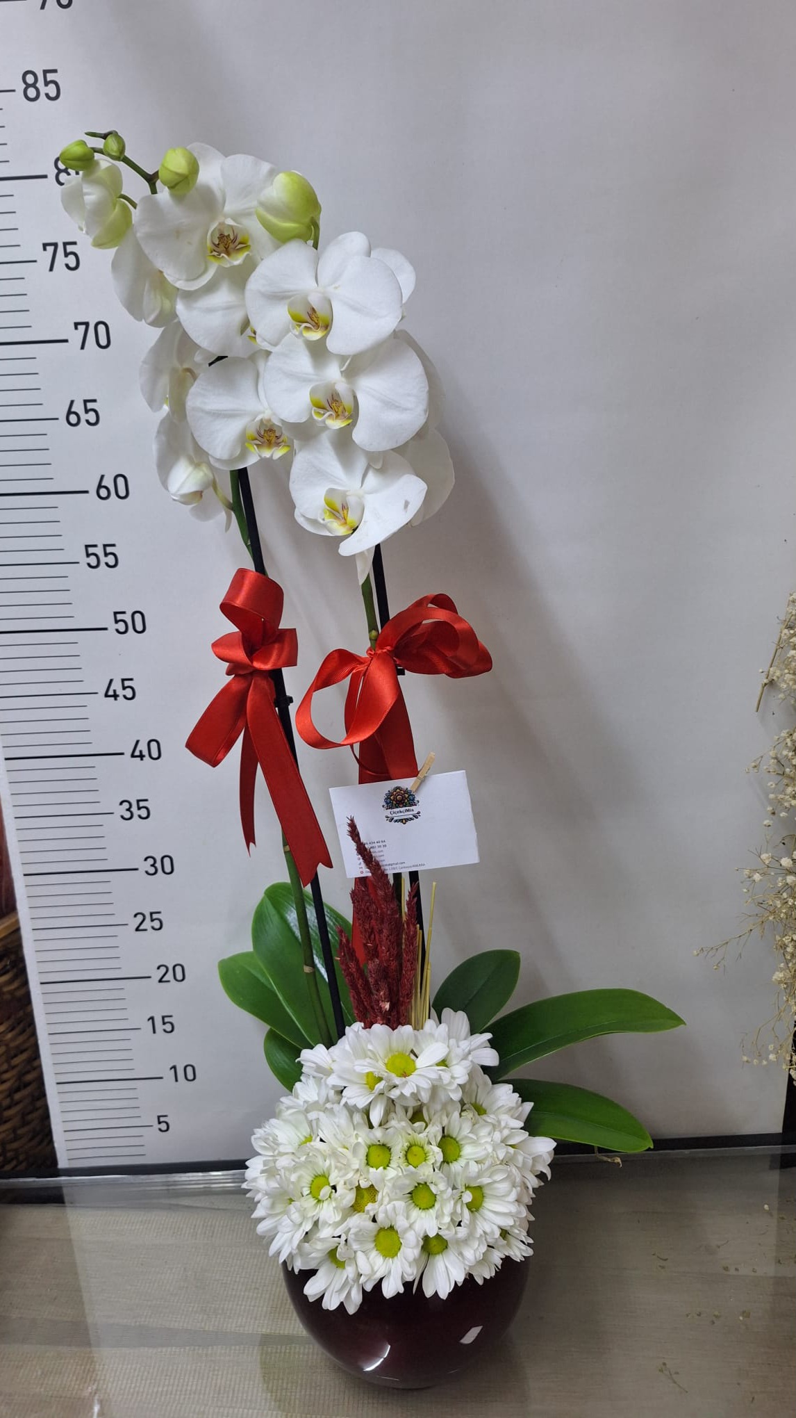 Çift Dalli Beyaz Orkide Tasarımı Arajmanli