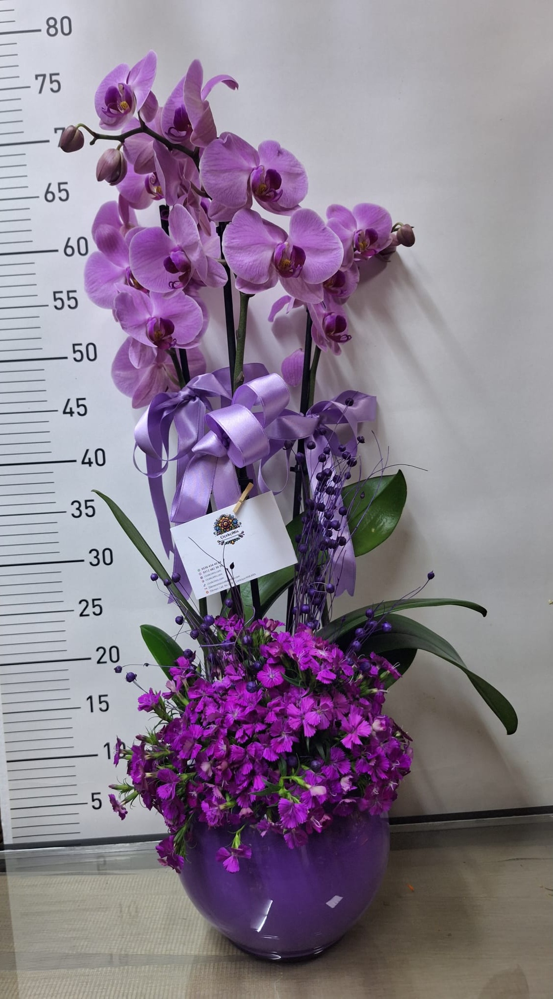 Çift Dalli Mor Orkide ve Hüsnü Yusuf Serisi