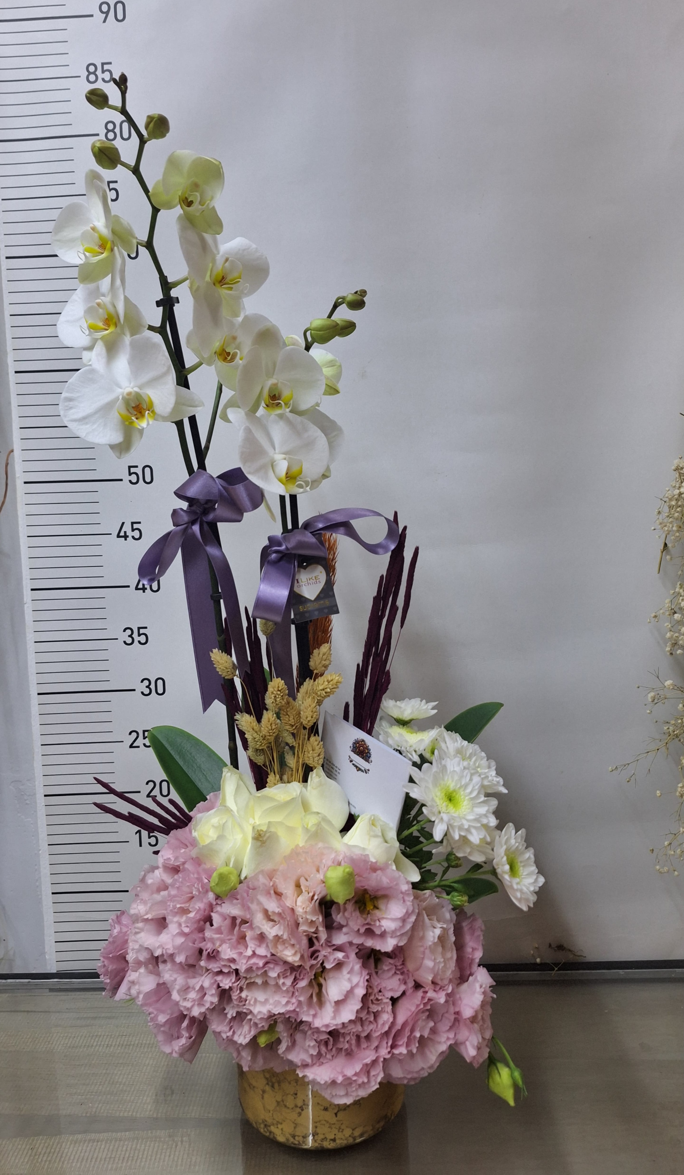 Arajmanli  Çift Dalli Beyaz Orkide Serisi